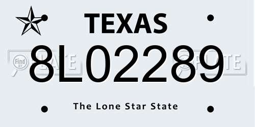 8L02289 Texas License Plate