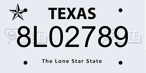 8L02789 Texas License Plate
