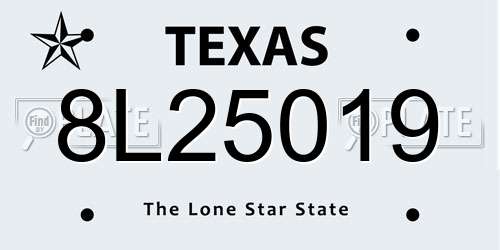 8L25019 Texas License Plate