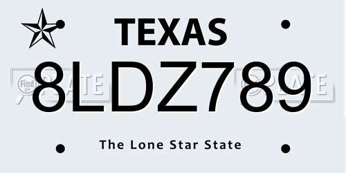 8LDZ789 Texas License Plate