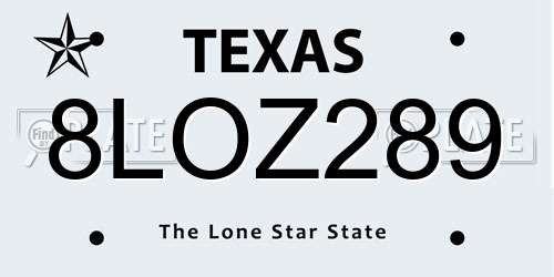 8LOZ289 Texas License Plate