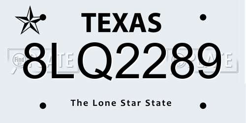 8LQ2289 Texas License Plate