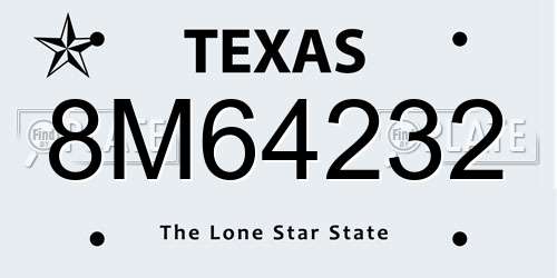 8M64232 Texas License Plate