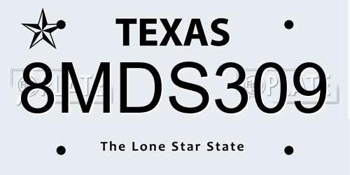 8MDS309 Texas License Plate
