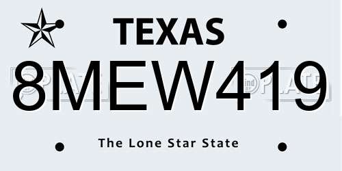 8MEW419 Texas License Plate