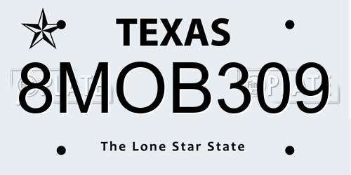 8MOB309 Texas License Plate