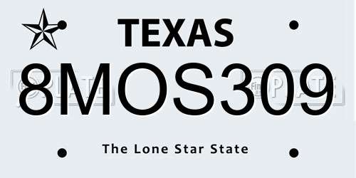 8MOS309 Texas License Plate