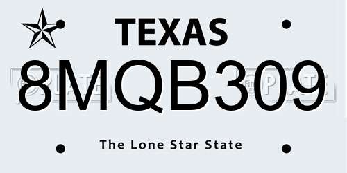 8MQB309 Texas License Plate
