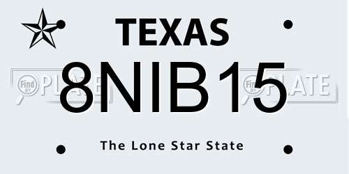 8NIB15 Texas License Plate