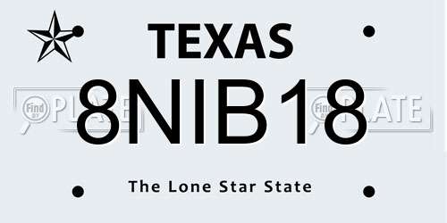 8NIB18 Texas License Plate