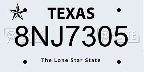 8NJ7305 Texas License Plate
