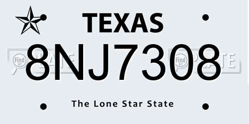 8NJ7308 Texas License Plate