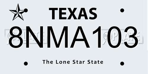 8NMA103 Texas License Plate