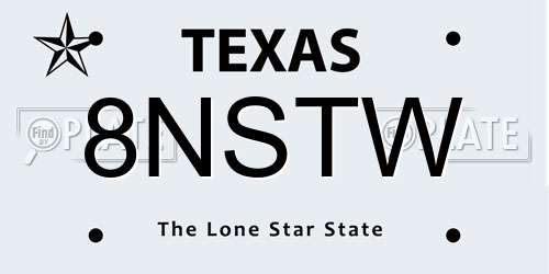 8NSTW Texas License Plate