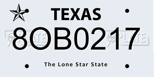 8OB0217 Texas License Plate