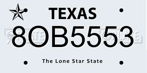 8OB5553 Texas License Plate