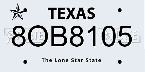 8OB8105 Texas License Plate