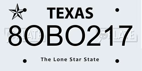 8OBO217 Texas License Plate