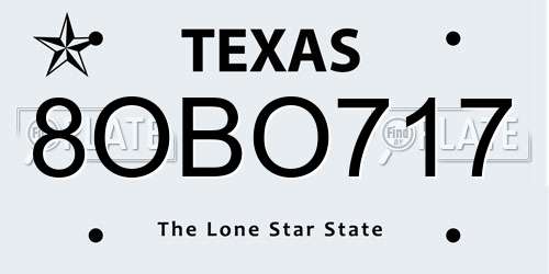 8OBO717 Texas License Plate