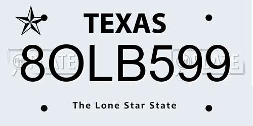 8OLB599 Texas License Plate