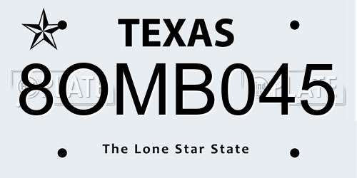 8OMB045 Texas License Plate