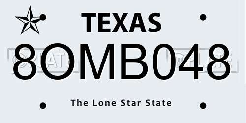 8OMB048 Texas License Plate