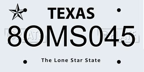 8OMS045 Texas License Plate