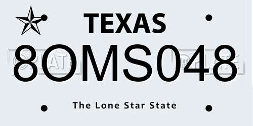 8OMS048 Texas License Plate