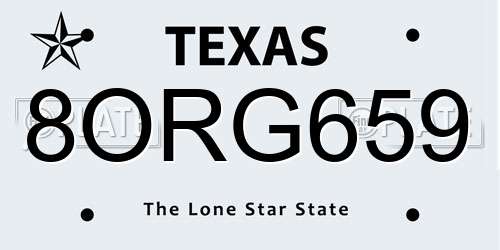 8ORG659 Texas License Plate