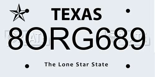 8ORG689 Texas License Plate