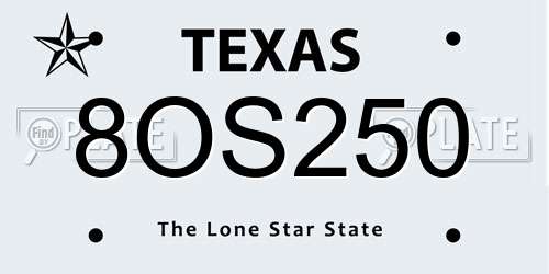 8OS250 Texas License Plate