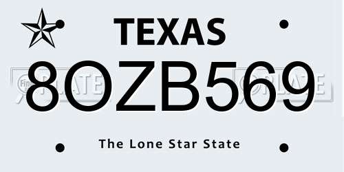 8OZB569 Texas License Plate