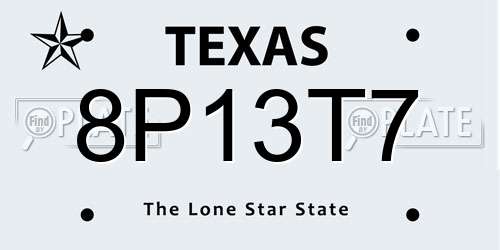 8P13T7 Texas License Plate