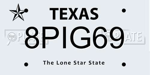 8PIG69 Texas License Plate