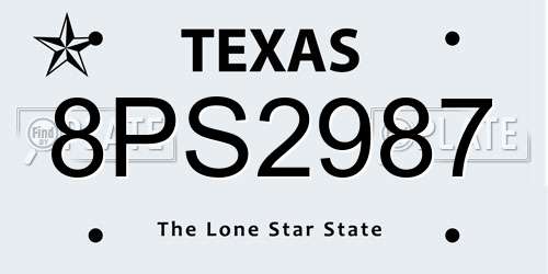8PS2987 Texas License Plate