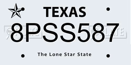 8PSS587 Texas License Plate