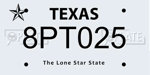 8PT025 Texas License Plate