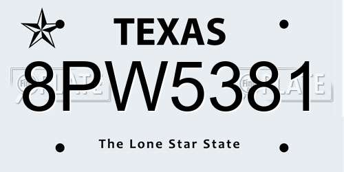 8PW5381 Texas License Plate