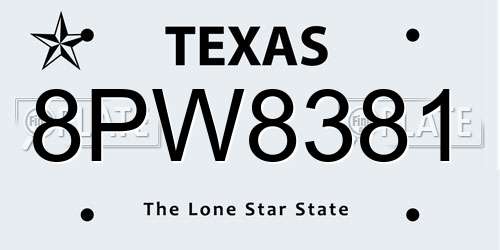 8PW8381 Texas License Plate