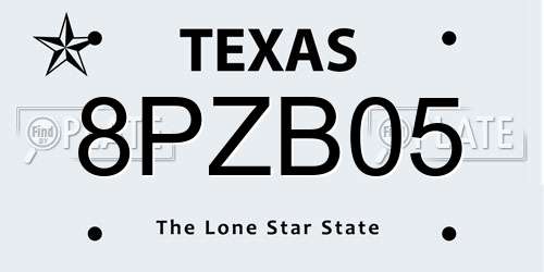 8PZB05 Texas License Plate