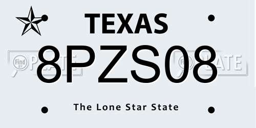8PZS08 Texas License Plate