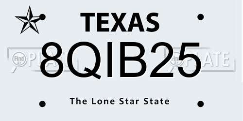 8QIB25 Texas License Plate