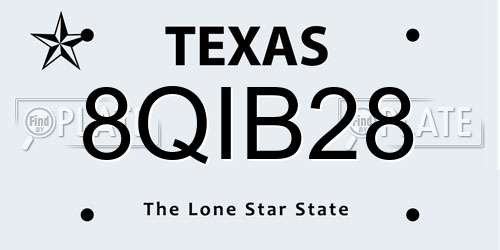 8QIB28 Texas License Plate