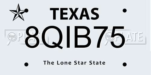 8QIB75 Texas License Plate