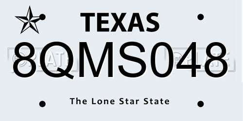 8QMS048 Texas License Plate
