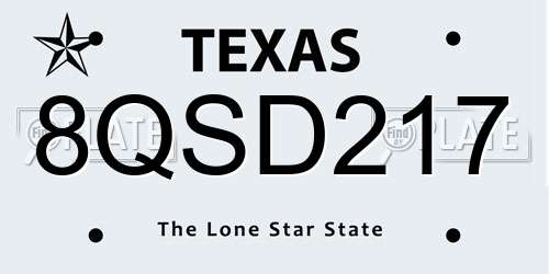 8QSD217 Texas License Plate