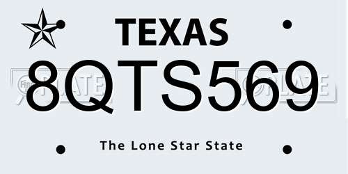 8QTS569 Texas License Plate
