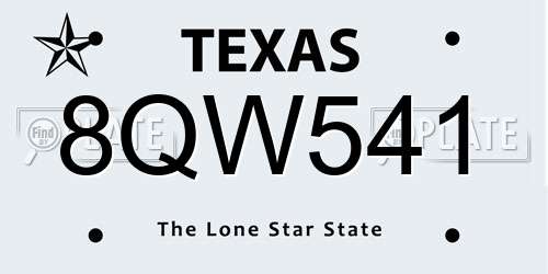 8QW541 Texas License Plate