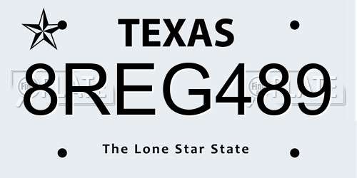 8REG489 Texas License Plate