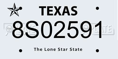 8S02591 Texas License Plate